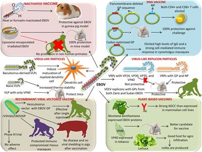 Frontiers | Advances in Designing and Developing Vaccines, Drugs 